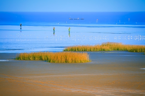 傅莹在香格里拉对话会上谈海洋问题