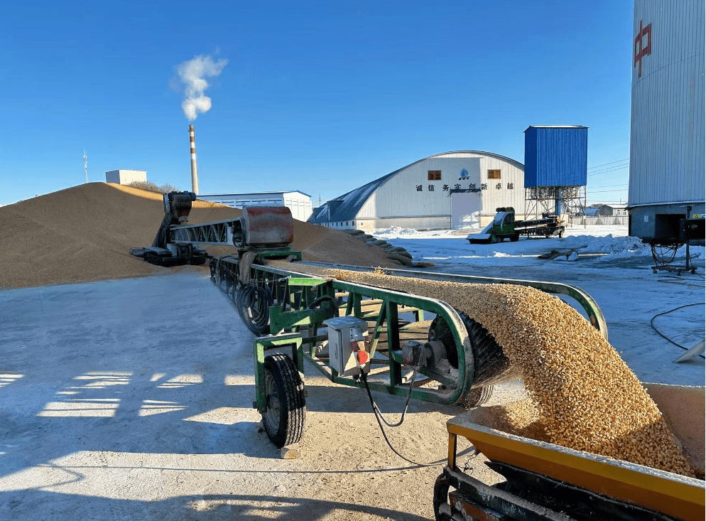 聚焦北大荒｜八五四分公司：“护粮管家”到位 把好粮食安全关
